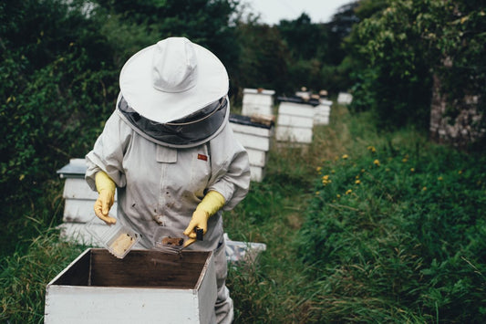 How to Choose a Home for Your Hive