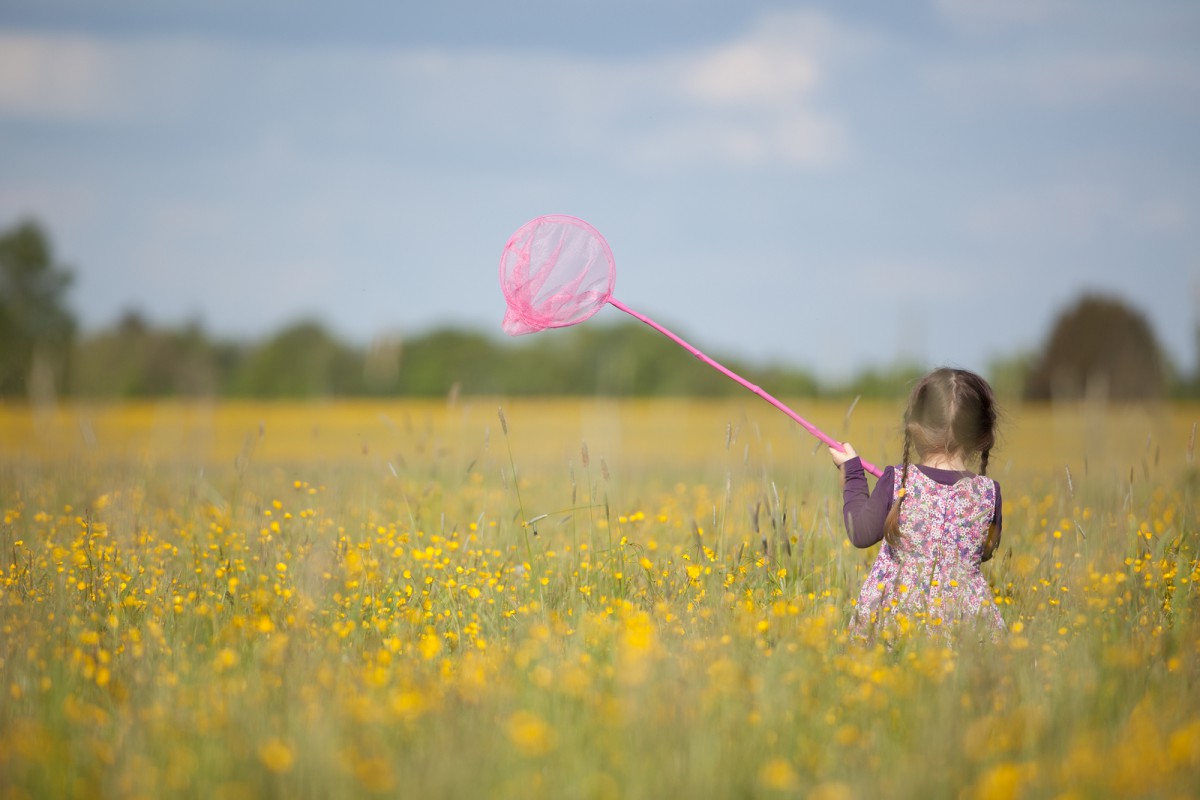 How To Bee Friendly This Summer