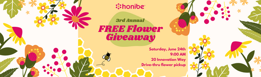 Celebrate International Pollinator Week (June 19 – 25) with Honibe!